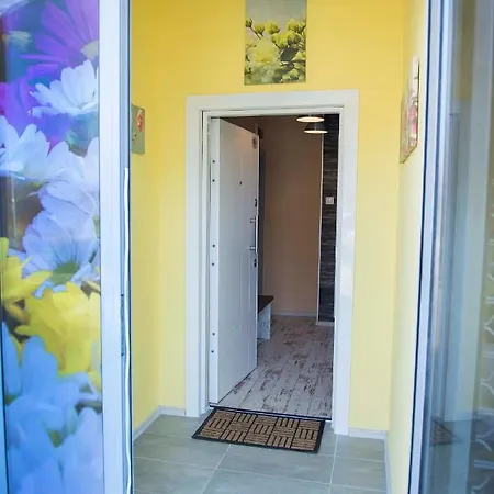 Flower House 1 * София